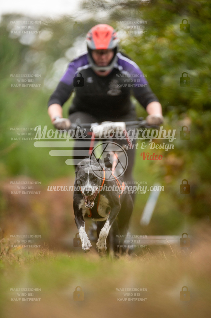 TSB_2023_E5_Bike-57 | PayLife
