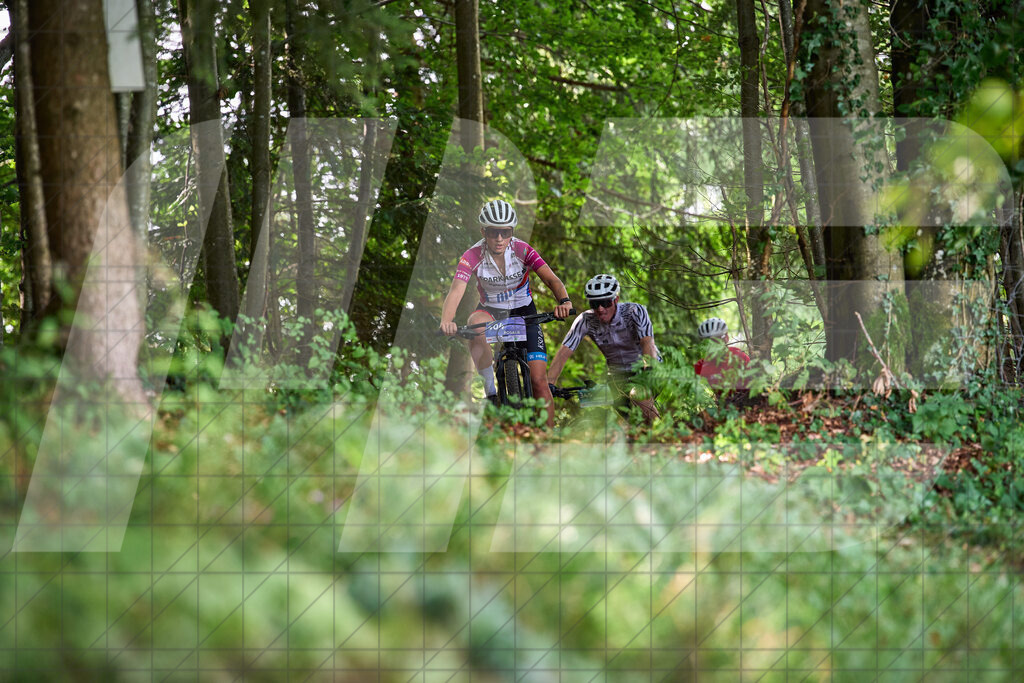 Betriebszentrum Laubenbachmühle, Frankenfels, Österreich - 13. September 2025: Dirndltal Race - Fun und Trophy RaceFotograf: Martin Bihounek / martinbihounek.com | 13. September 2025 Betriebszentrum Laubenbachmühle, Frankenfels, Österreich : Dirndltal Race - Fun und Trophy Race •••••Photo by: Martin Bihounek / martinbihounek.comInsta: @martinbihounekcom
