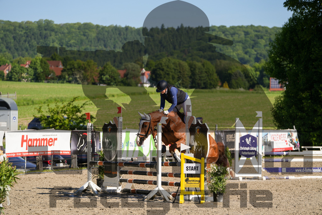 DSC02056 | Julian Held Fotografie - Realisiert mit Pictrs.com