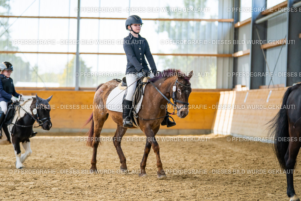 DSC01329 | Pferdegrafie