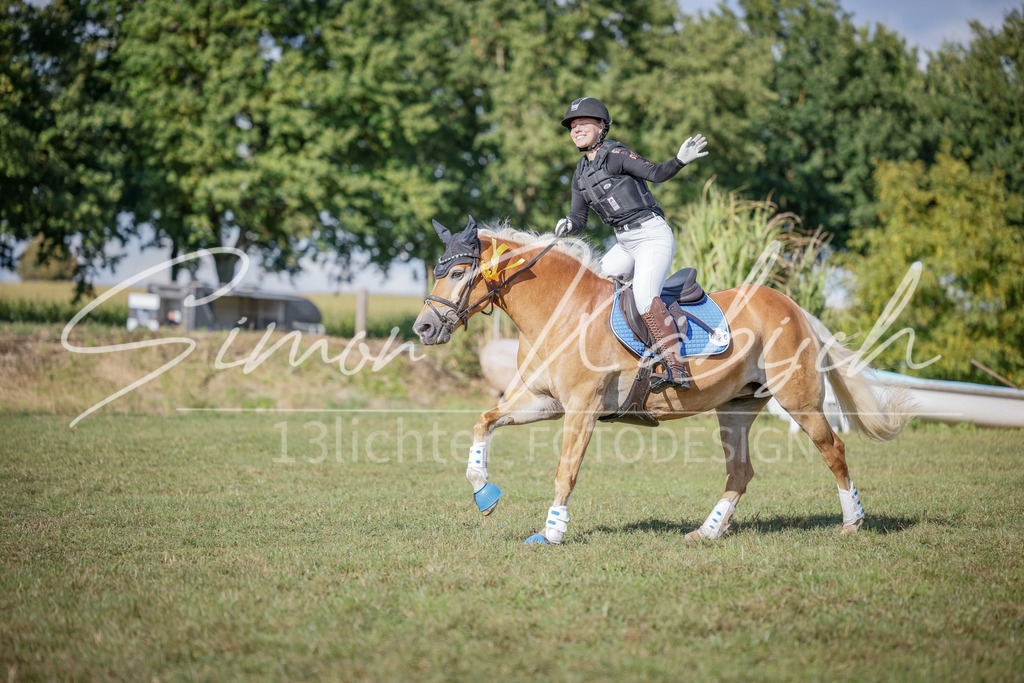 20250905-_3LI1475 | Tierfotografie Pferde, Hunde, Katzen, Haustiere.
Turnierfotografie Reitturniere, Reiten, Springreiten, Dressur in Hanau, dem Main-Kinzig-Kreis und dem Rhein-Main- Gebiet um Frankfurt