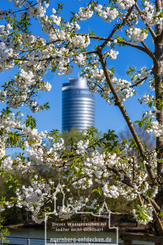 Blütenrahmen mit Business-Tower | Frühling am Wöhrder See in Nürnberg. Beim Blick durch den Blütenrahmen sieht man den Business-Tower Nürnberg.  - Realisiert mit Pictrs.com