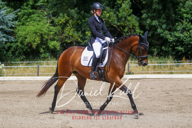 DKP46633 | Turniersportfotografie; Pferdefotografie; Dressurfotografie