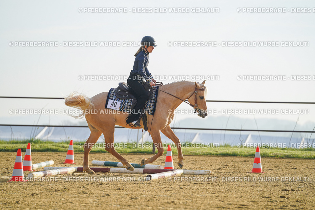 DSC09968 | Pferdegrafie