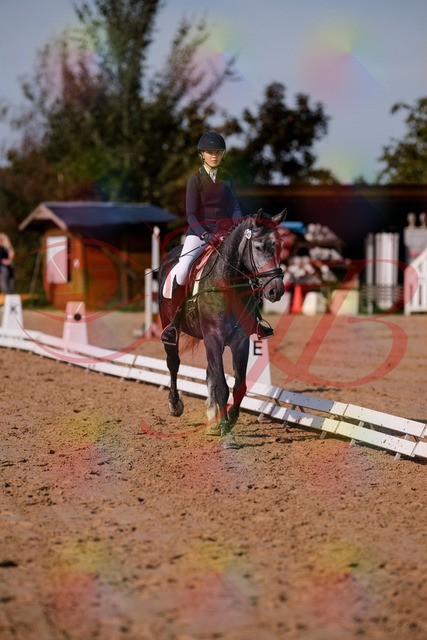 2026_10_03_Siefer-Hof_120026_Z81_02082349 | Professionelle Reitsport-, Turnier- und Eventfotografie von Robert Broda. Galerien mit ausgewählten und bearbeiteten Bildern direkt online ansehen und bestellen.