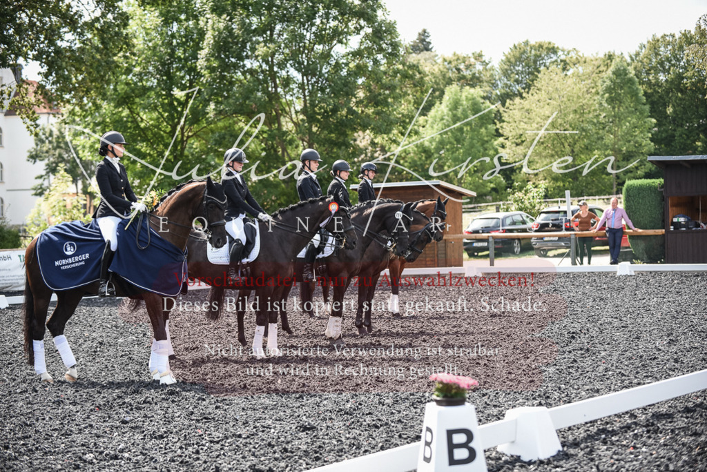 DSC_5160 | Pferde- und Turnierfotografie in Westsachsen. Pferdeportraits, Auftragszeichnungen und intuitive Kunst.