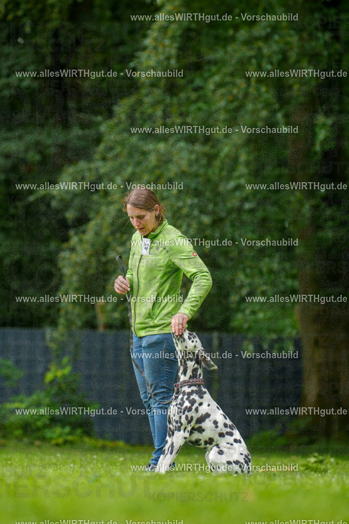 @allesWIRTHgut_Tierfotografie - www.allesWIRTHgut.de - 135055-7R500064 | Professionelle Tierfotografie in Mönchengladbach von Daniel Wirth (allesWIRTHgut). Liebevolle & natürliche Bilder von Hunden & Katzen für unvergessliche Erinnerungen.