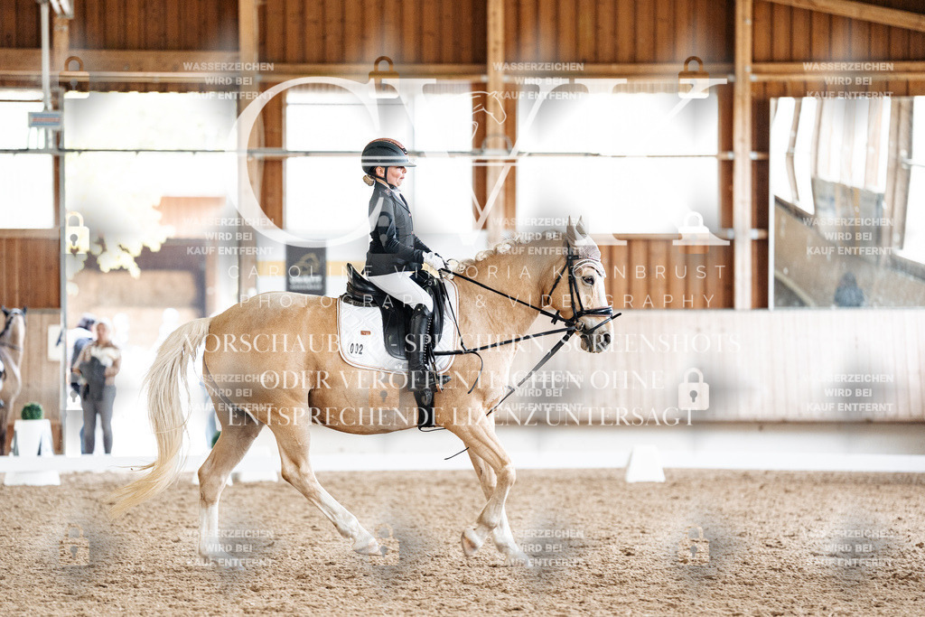 CK900228 | Turnierfotografie Pferdefotografie Trier Rheinland-Pfalz Pferdesport Reitsport Tierfotografie Sportfotografie Pferdevideo Pferdevideografie Equestrianvideography equestrianphotography  - Realisiert mit Pictrs.com