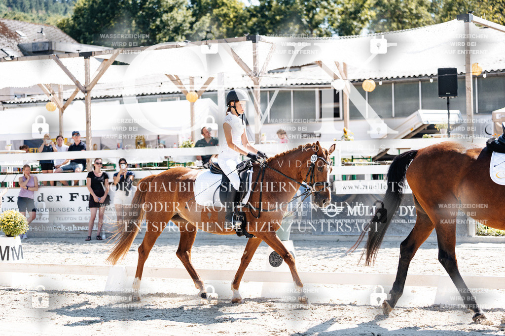 CK902409 | Turnierfotografie Pferdefotografie Trier Rheinland-Pfalz Pferdesport Reitsport Tierfotografie Sportfotografie Pferdevideo Pferdevideografie Equestrianvideography equestrianphotography  - Realisiert mit Pictrs.com