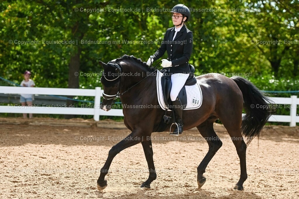 20230715_07_Dressurpferdeprfg. Kl.L_0174 | equistock