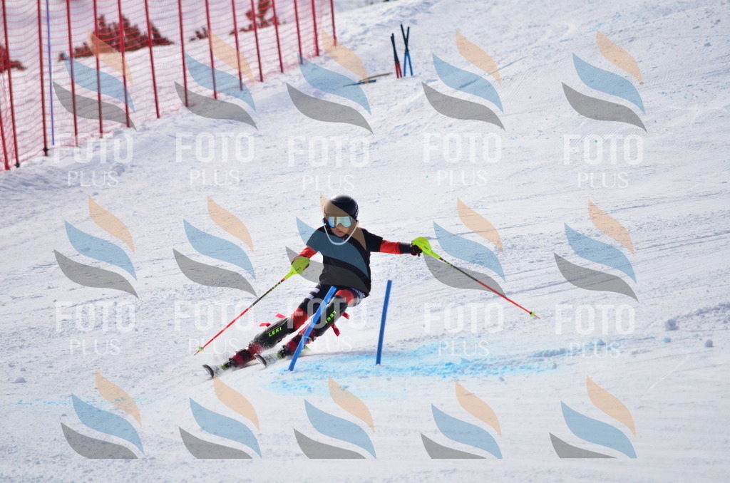 D0026 | holidayphoto