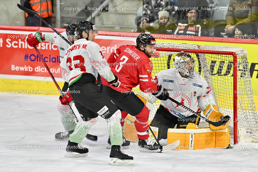 Österreich vs. Ungarn 14.12.2023 | Österreich vs. Ungarn 14.12.2023, Österreich vs. Ungarn  am 14.12.2023 in Klagenfurt (Heidi Horten Arena), Austria, (Photo by Bernd Stefan)
