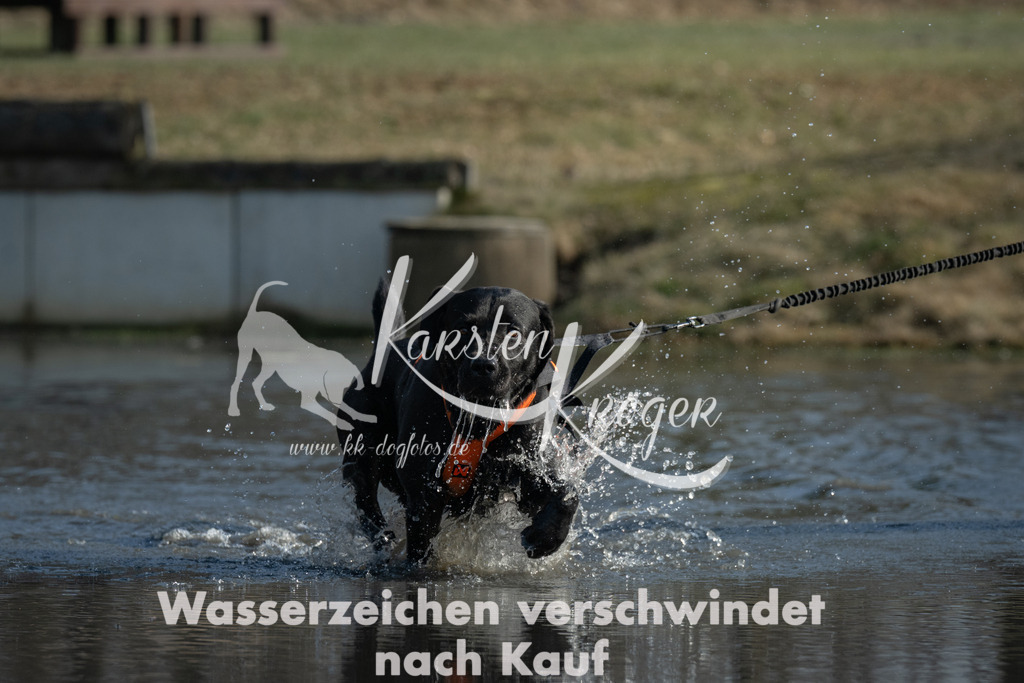 1403_ZZ99602 | kk-dogfotos