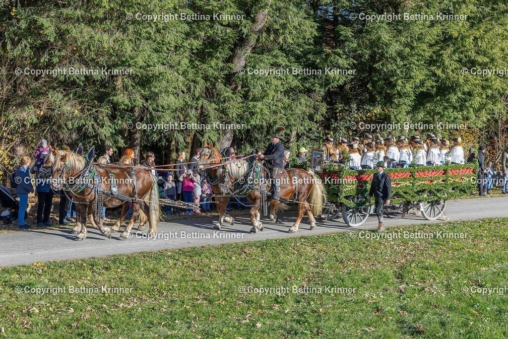 LBT25-248 | foto-bettina-krinner - Realisiert mit Pictrs.com