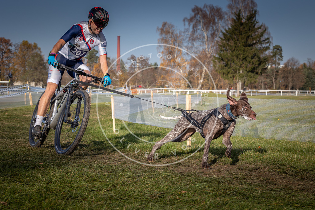 CaniXpix_0L8A7006 | Hundefotografie, Tierfotograf, Pfotenfotografie, Fotoshooting Hund, Hunde Portrait, Hundesport, Hundeportraits, Heideshooting, Hunde, Sportfotograf, Hundefotograf, Turnierhundsport, THS,  - Realisiert mit Pictrs.com