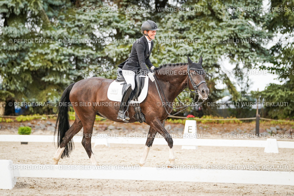 DSC09076 | Pferdegrafie