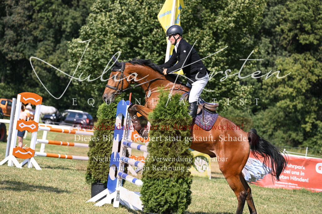 DSC_1086 | Pferde- und Turnierfotografie in Westsachsen. Pferdeportraits, Auftragszeichnungen und intuitive Kunst.
