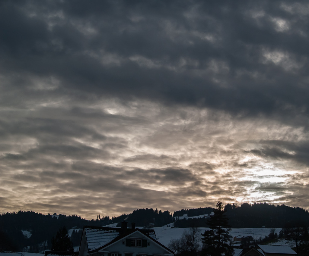 PSX_20230211_234607 | OLYMPUS DIGITAL CAMERA - Realisiert mit Pictrs.com