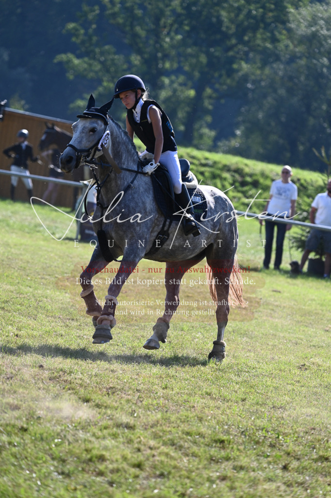 DSC_5387 | Pferde- und Turnierfotografie in Westsachsen. Pferdeportraits, Auftragszeichnungen und intuitive Kunst.