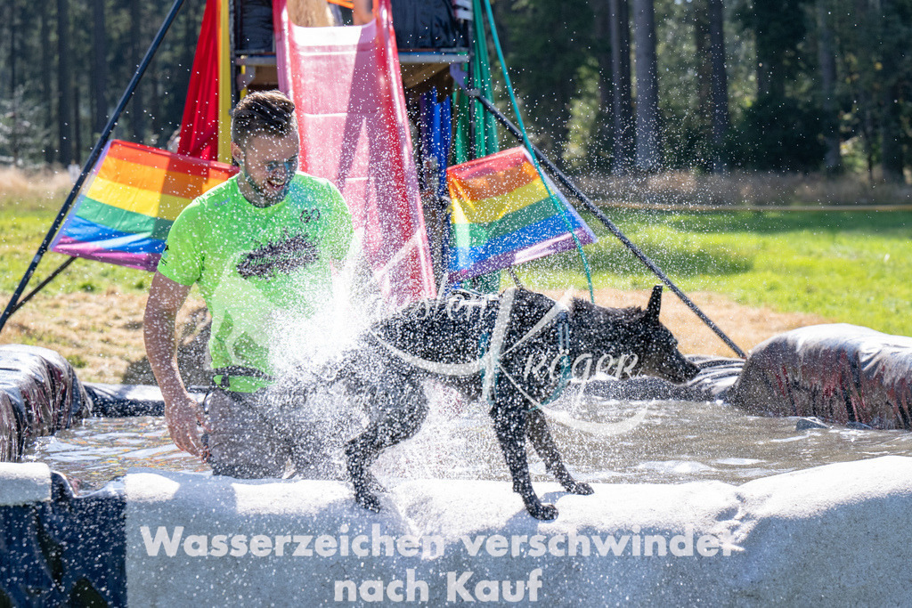 1405_ZZ93214 | kk-dogfotos