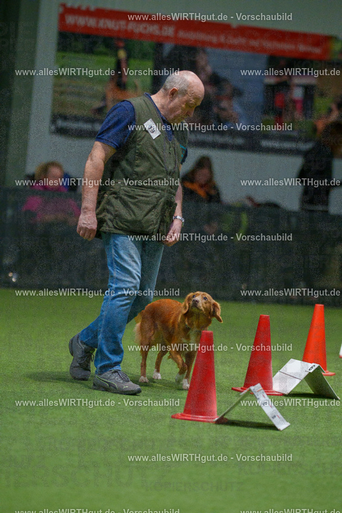 7R504527 | Professionelle Tierfotografie in Mönchengladbach von Daniel Wirth (allesWIRTHgut). Liebevolle & natürliche Bilder von Hunden & Katzen für unvergessliche Erinnerungen.