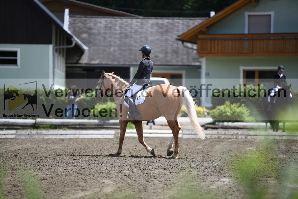 DSC_1153 | equestrian-live-com