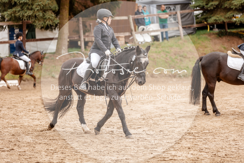 3I6A8406 | Stimmungsvolle Portraits und Reitsportfotografie im Ruhrgebiet und im Münsterland.

Pferdefotografie, Hundefotografie, Tierfotografie, Reportagen, Portraits von Tier und Mensch, Turnierfotografie in Bochum, Recklinghausen, Marl, Haltern am See, Dülmen.. - Realisiert mit Pictrs.com