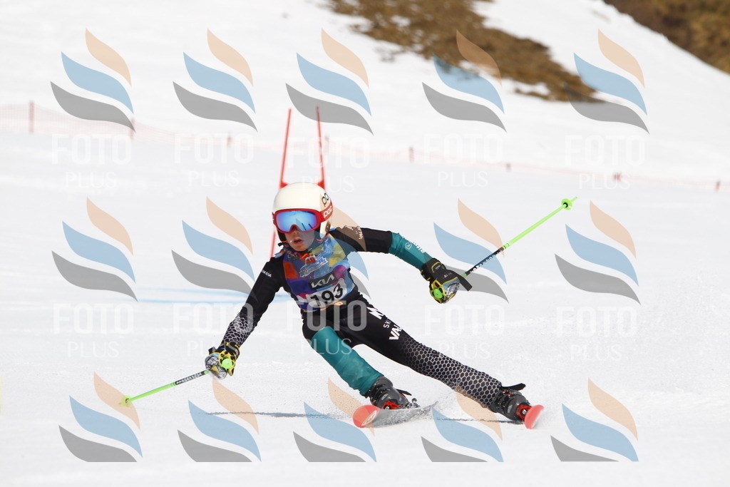 _U3G5061 | holidayphoto