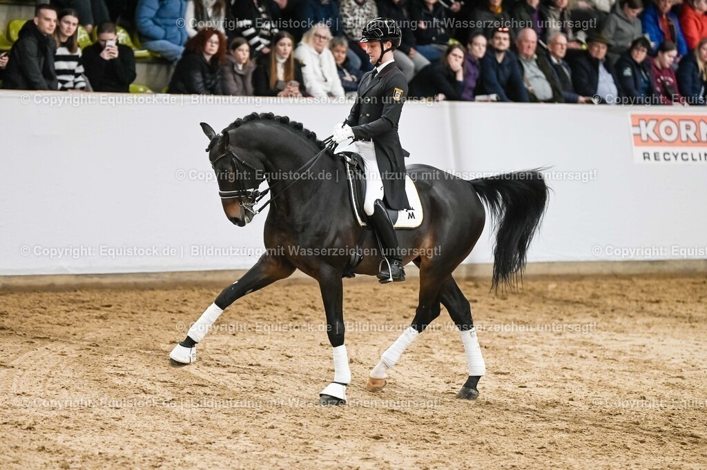 20260307_Hengstvorstellung-Marbach_0195 | equistock