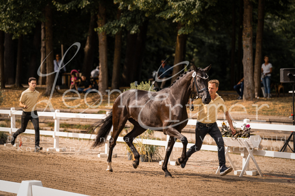 FrER00006 | Leoni Ertmer Photography - Realisiert mit Pictrs.com