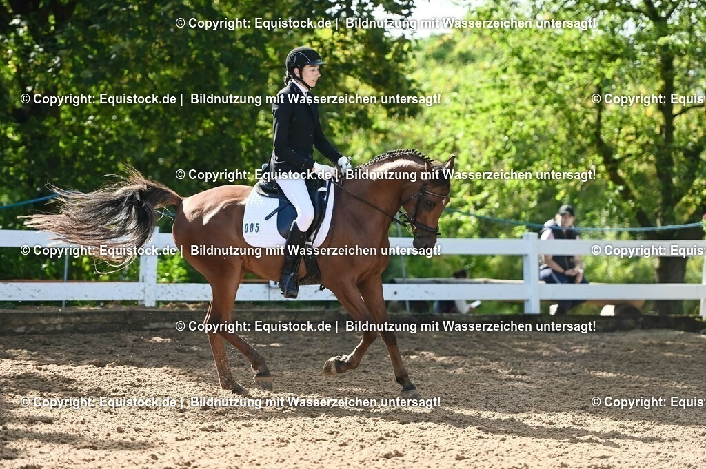 20230716_04_Dressurreiterprüfung Kl.A_0160 | equistock