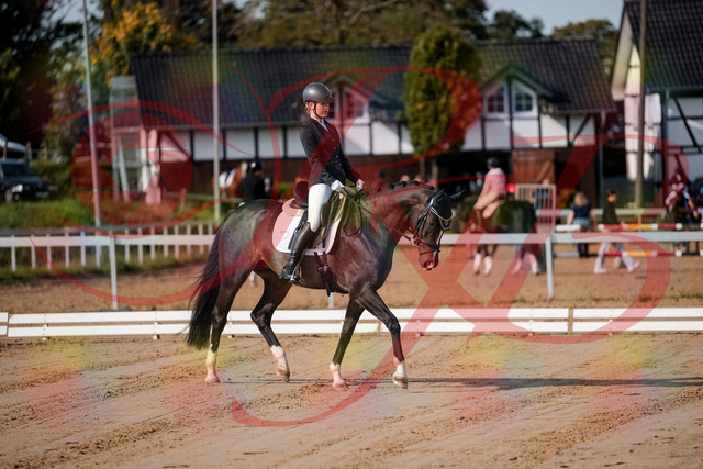 2026_10_03_Siefer-Hof_113333_Z63_19854241 | Professionelle Reitsport-, Turnier- und Eventfotografie von Robert Broda. Galerien mit ausgewählten und bearbeiteten Bildern direkt online ansehen und bestellen.