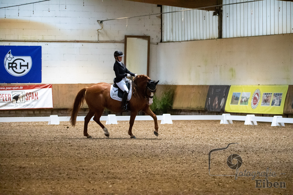 Helle Nymphenburger Dressurtage | Sophie-Celine-Viktoria Richter auf dem Pferd Palinkas Red (Startnummer 319); Helle Nymphenburger Dressurtage am 01.10.2023; in Bad Zwischen (RC Helle), Photo: Philip Eiben 2023 - Realisiert mit Pictrs.com