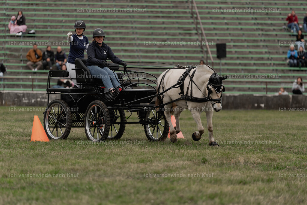 Showprogramm-487 | working equitationturnier fotograf videograf stoibphotography marixx film working equitation deutschland reitsport turnierfotografie eventfotografie equestrian events