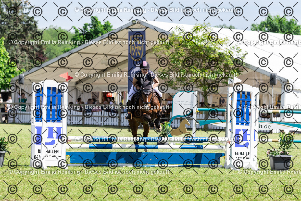 CL5A0118 | Emilia Reinking Fotografie - Realisiert mit Pictrs.com