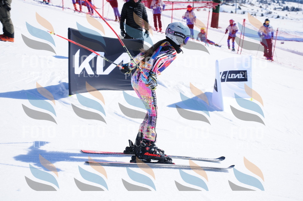 DSC_4005 | holidayphoto