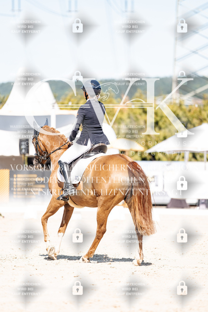CK909202 | Turnierfotografie Pferdefotografie Trier Rheinland-Pfalz Pferdesport Reitsport Tierfotografie Sportfotografie Pferdevideo Pferdevideografie Equestrianvideography equestrianphotography  - Realisiert mit Pictrs.com
