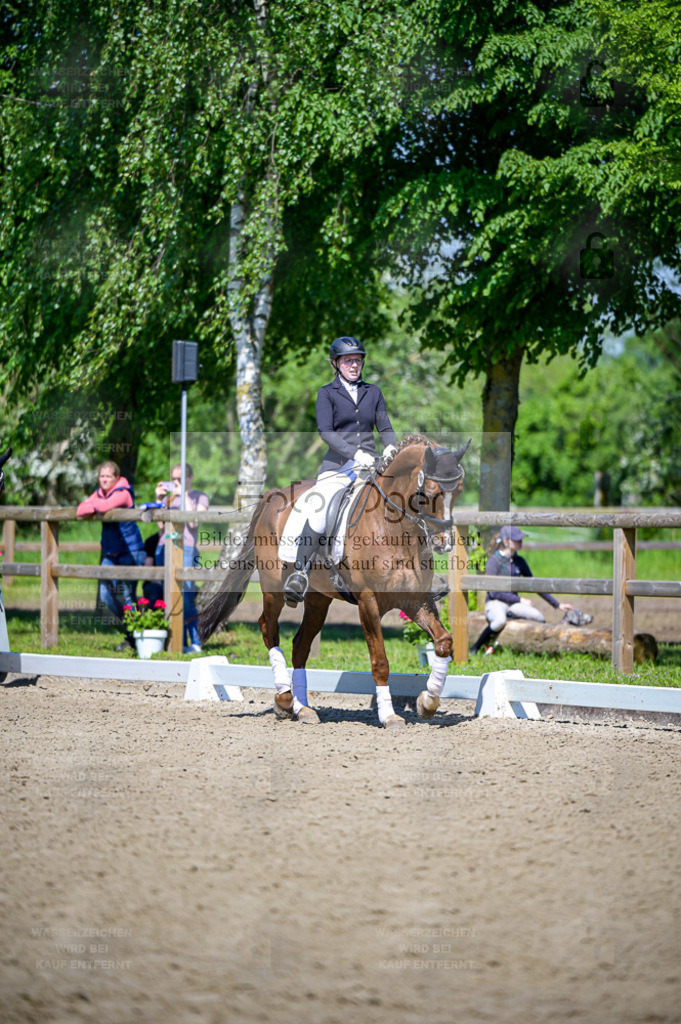 Reitturnier Lienen | Entdecke hochwertige Reitturnierfotos von Foto Oger. Professionell, emotional und authentisch – jetzt Lieblingsmomente im Shop bestellen. - Realisiert mit Pictrs.com
