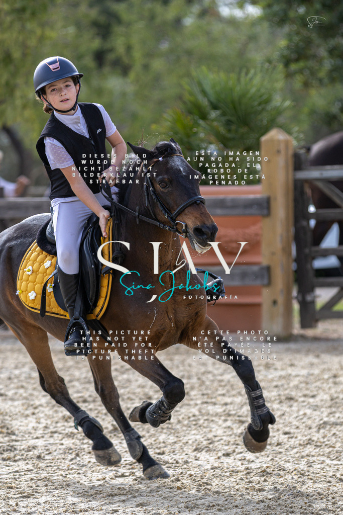 IMG_5873 | s-jay-photography - Realisiert mit Pictrs.com