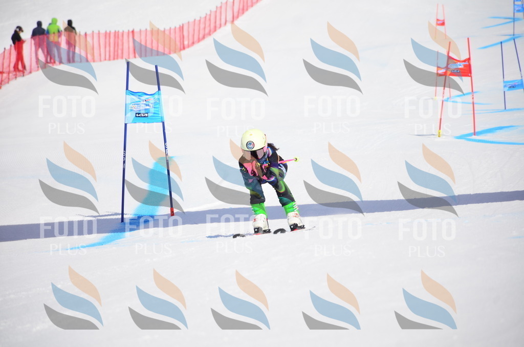 VR4_0142 | holidayphoto