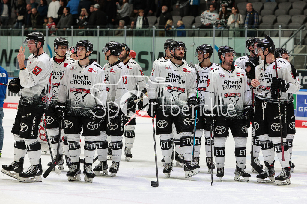 Augsburger Panther - Koelner Haie  | Die Koelner Haie feiern zusammen mit den Fans den Sieg in Augsburg