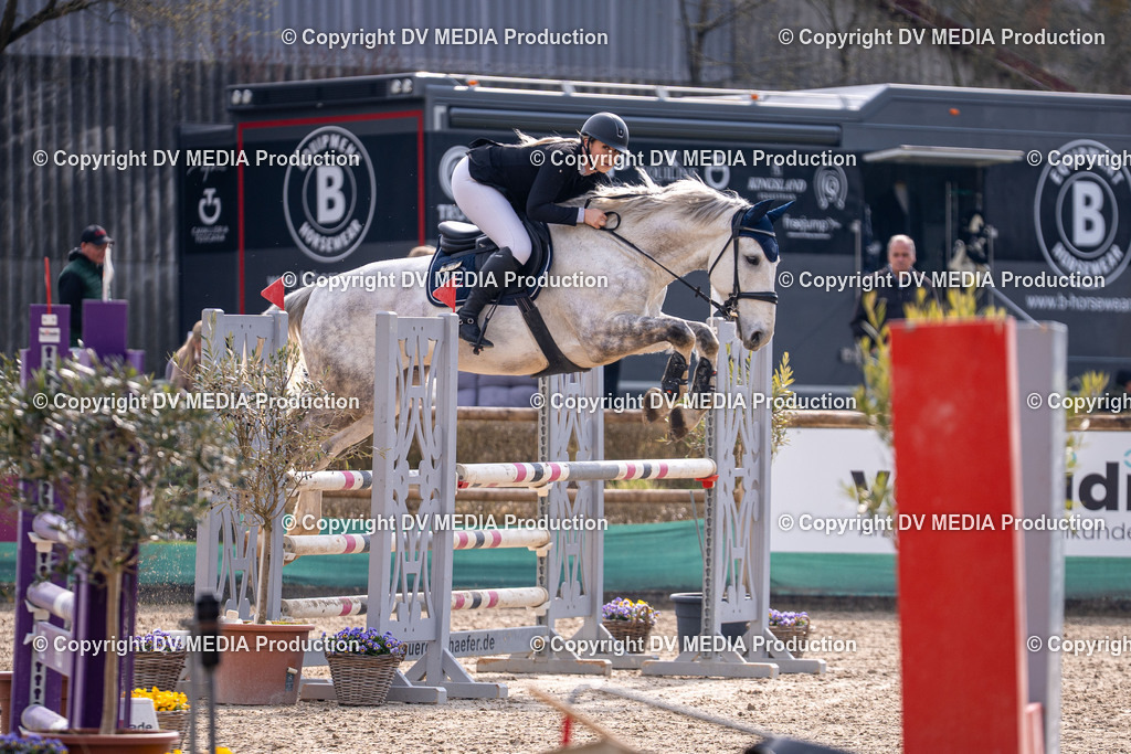 Kranichstein Tag 2-1559 | dv-media-shop - Realisiert mit Pictrs.com