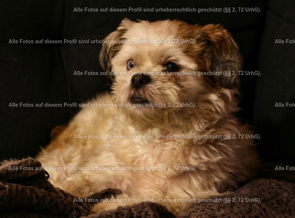 20240303201444_0C4A2476-01_2 | krollfotografie - Realisiert mit Pictrs.com