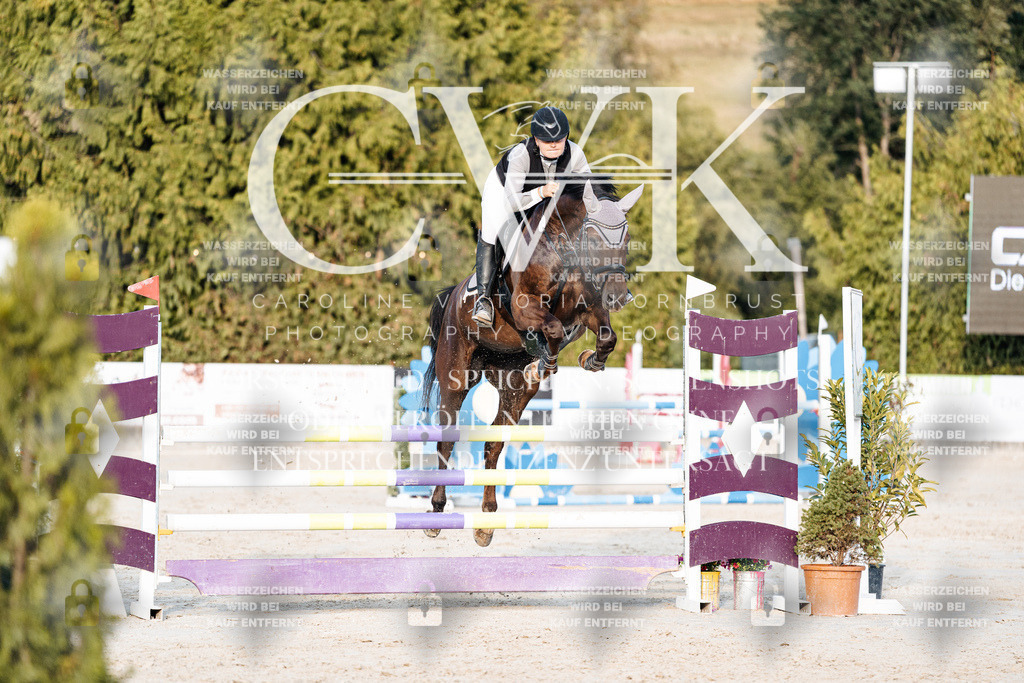 CK900850 | Turnierfotografie Pferdefotografie Trier Rheinland-Pfalz Pferdesport Reitsport Tierfotografie Sportfotografie Pferdevideo Pferdevideografie Equestrianvideography equestrianphotography  - Realisiert mit Pictrs.com