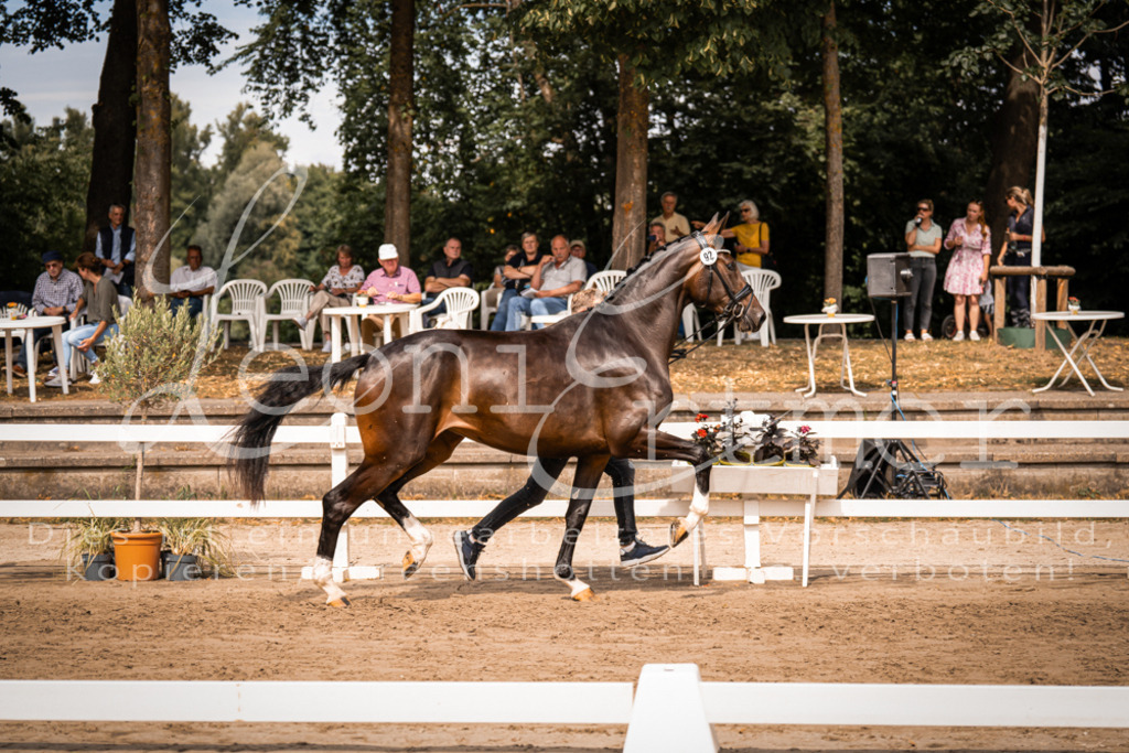 6.Fr00007 | Leoni Ertmer Photography - Realisiert mit Pictrs.com