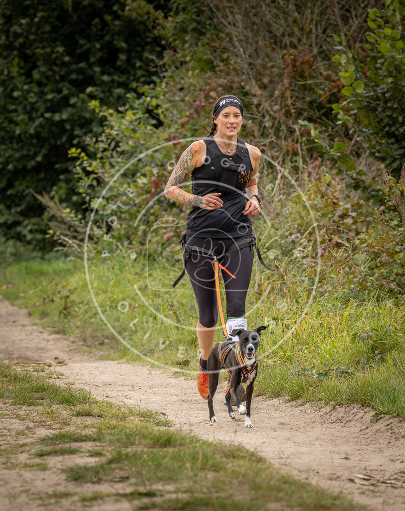 Pfotenfotografie_DV3A8138 | Hundefotografie, Tierfotograf, Pfotenfotografie, Fotoshooting Hund, Hunde Portrait, Hundesport, Hundeportraits, Heideshooting, Hunde, Sportfotograf, Hundefotograf, Turnierhundsport, THS,  - Realisiert mit Pictrs.com