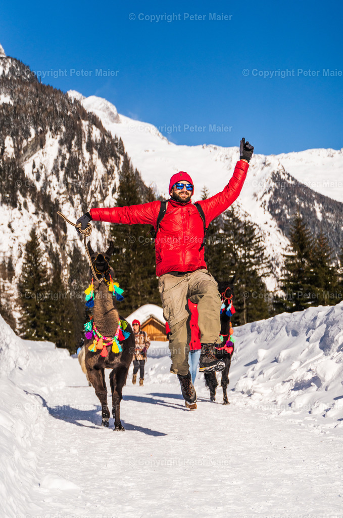 Lama_Wanderung_Winter_Stapitzer_See-131 | piet_flosse