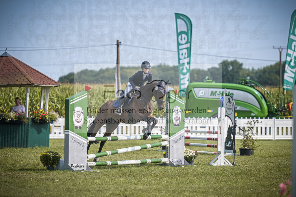 DOS_3633 | Entdecke hochwertige Reitturnierfotos von Foto Oger. Professionell, emotional und authentisch – jetzt Lieblingsmomente im Shop bestellen.Deutschlandweite Turnierfotografie. - Realisiert mit Pictrs.com