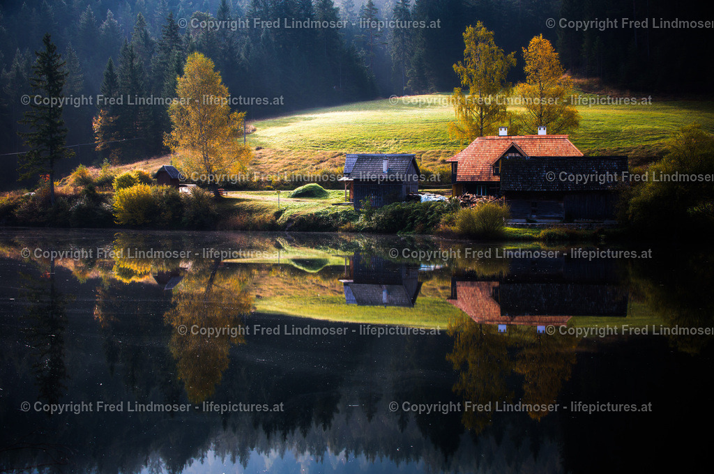 Weisenblasen Walstern Hubertussee_2014_6166_ | Fotos und Fotoprodukte - Realisiert mit Pictrs.com