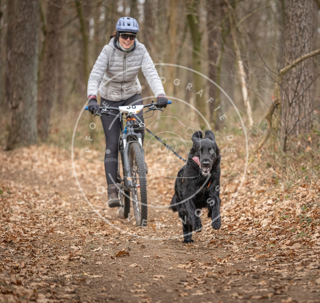 Pfotenfotografie_DV3A0263 | Hundefotografie, Tierfotograf, Pfotenfotografie, Fotoshooting Hund, Hunde Portrait, Hundesport, Hundeportraits, Heideshooting, Hunde, Sportfotograf, Hundefotograf, Turnierhundsport, THS,  - Realisiert mit Pictrs.com